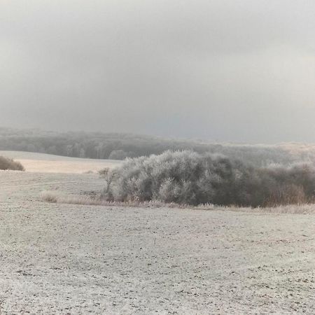 Ziehten Ferienwohnung Uckermarkblick מראה חיצוני תמונה