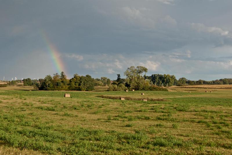 Ziehten Ferienwohnung Uckermarkblick מראה חיצוני תמונה